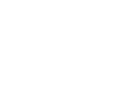 BFDA, LDA - Bernardo Foquiço, Despachante Aduaneiro